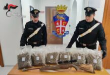 carabinieri reggio calabria, marijuana, arma clandestina