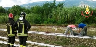 uomo, travolto da un treno