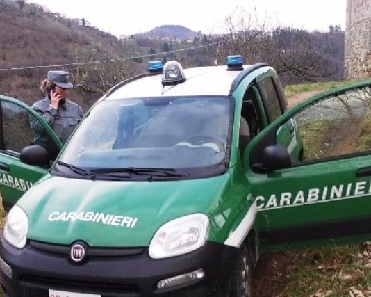 Carabinieri Forestali