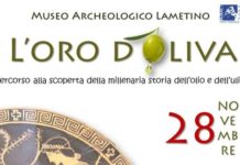 L'oro d'oliva-