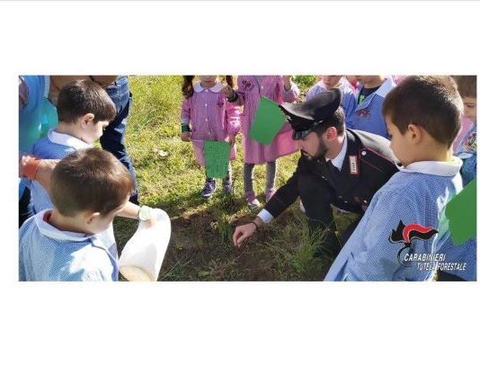 carabinieri forestali