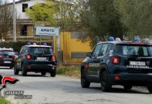 Palmi, Operazione Dioniso, arresti Carabinieri Reggio Calabria