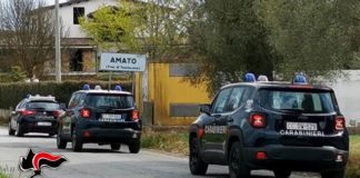 Palmi, Operazione Dioniso, arresti Carabinieri Reggio Calabria