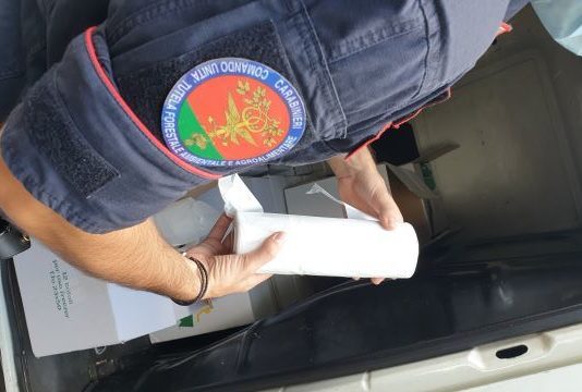 Spilinga, sequestro shoppers, Carabinieri Forestali Vibo Valentia