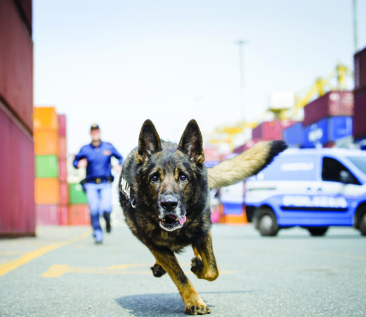 Polizia di Stato, ANSA