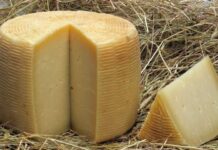 Formaggio pecorino Crotonese