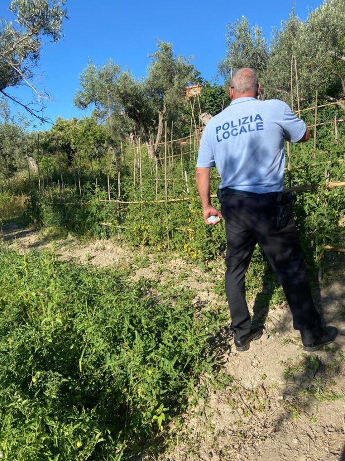 Scoperti 16 casi di abuso idrico a Catanzaro