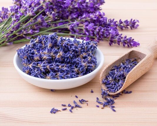 Lavanda