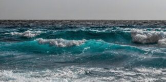 Mare mosso, salvataggio a Gioia Tauro