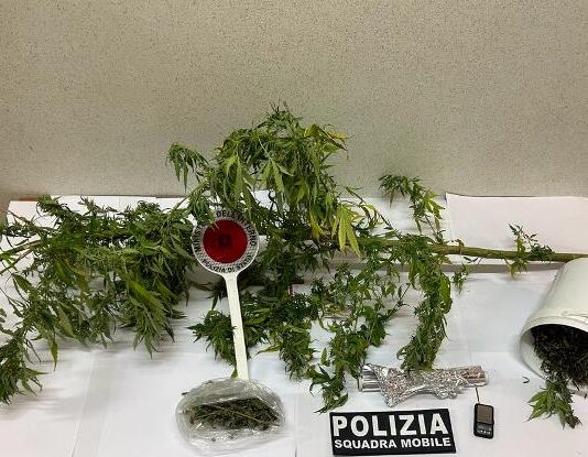 Rinvenuta 165,1 grammi di marijuana