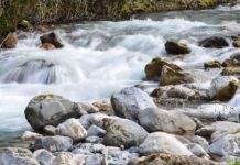 Valle del fiume Argentino