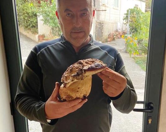 Funghi: il porcino di Salvatore Larocca