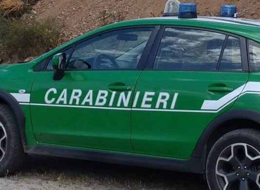 carabinieri forestali