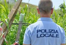 polizia locale, sequestrata azienda agricola