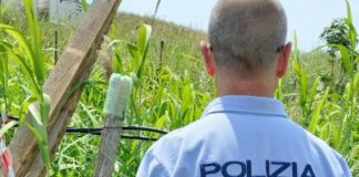 polizia locale, sequestrata azienda agricola
