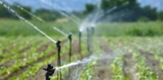irrigazione, agricoltura