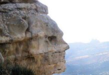 faccia di pietra di Prunella