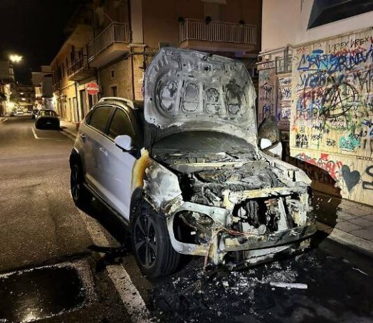 auto video calabria incendiata