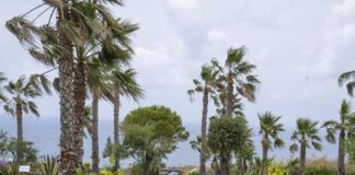 il giardino degli dei a capo vaticano