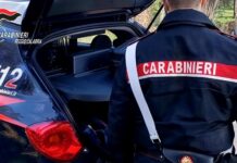 carabinieri, arresto