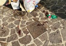 Rissa su Viale Crotone