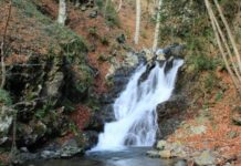 cascate buturo