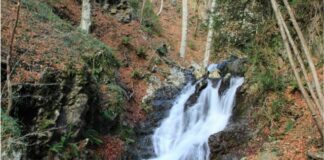 cascate buturo