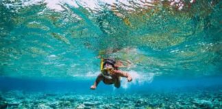 snorkeling