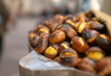 autunno in calabria, castagne