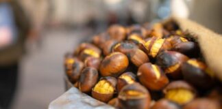 autunno in calabria, castagne