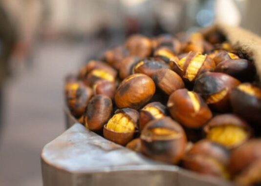 autunno in calabria, castagne