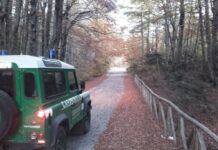 Carabinieri Forestali