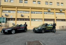 carabinieri e guardia di finanza