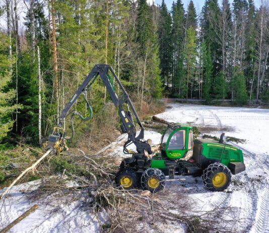 Forestali, operai, lavoro