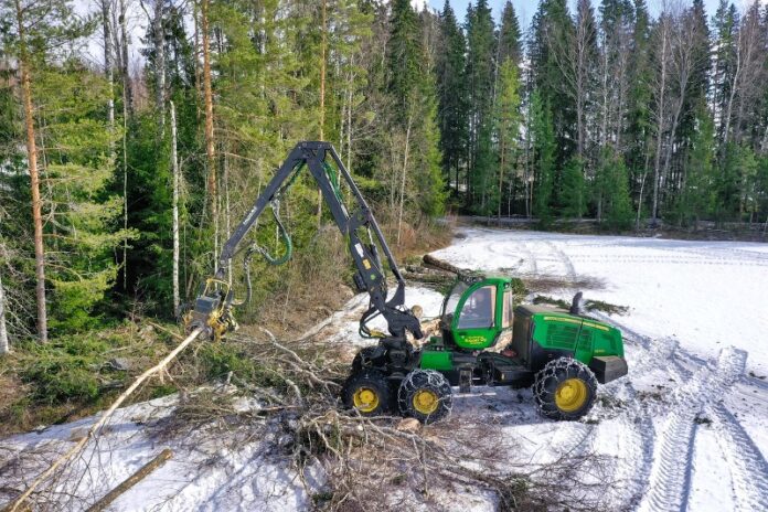 Forestali, operai, lavoro