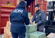 guardia di finanza e ADM, sequestrati fuochi