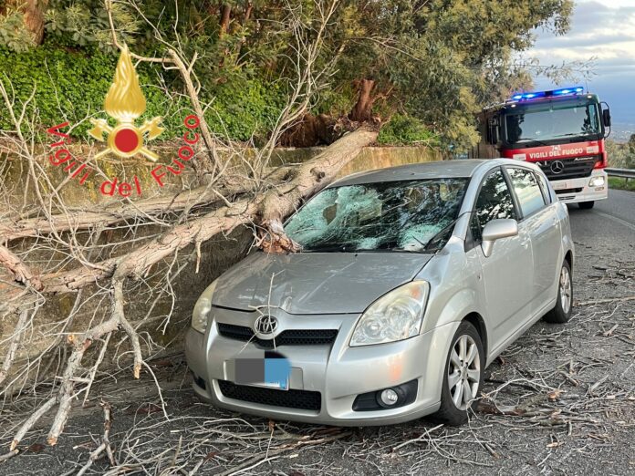 Incidente a gizzeria