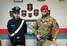 sequestrati 4,5 kg di droga