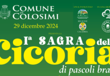 sagra cicoria