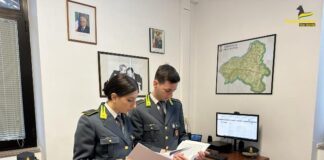 guardia di finanza