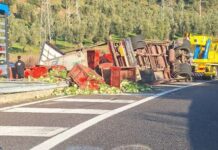 Camion cade su un fianco in direzione Catanzaro sulla SS280