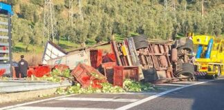 Camion cade su un fianco in direzione Catanzaro sulla SS280