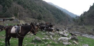 Documentario Lungo il Fiume Trionto