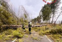 Maltempo in Calabria, strade interrotte