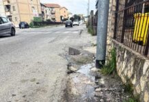 Fogna invade la strada su Viale Emilia (