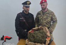 Sequestrato 1,5 kg di marijuana