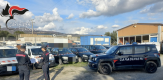 capannone sequestrato a lamezia terme